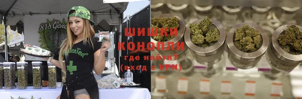 гидра Алексеевка