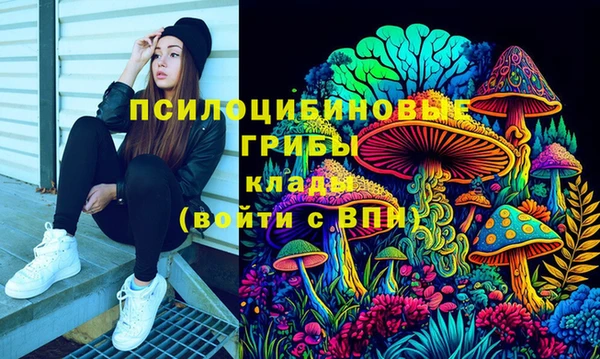 дурь Алзамай