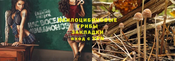 гидра Алексеевка