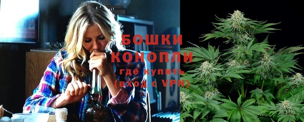 гидра Алексеевка